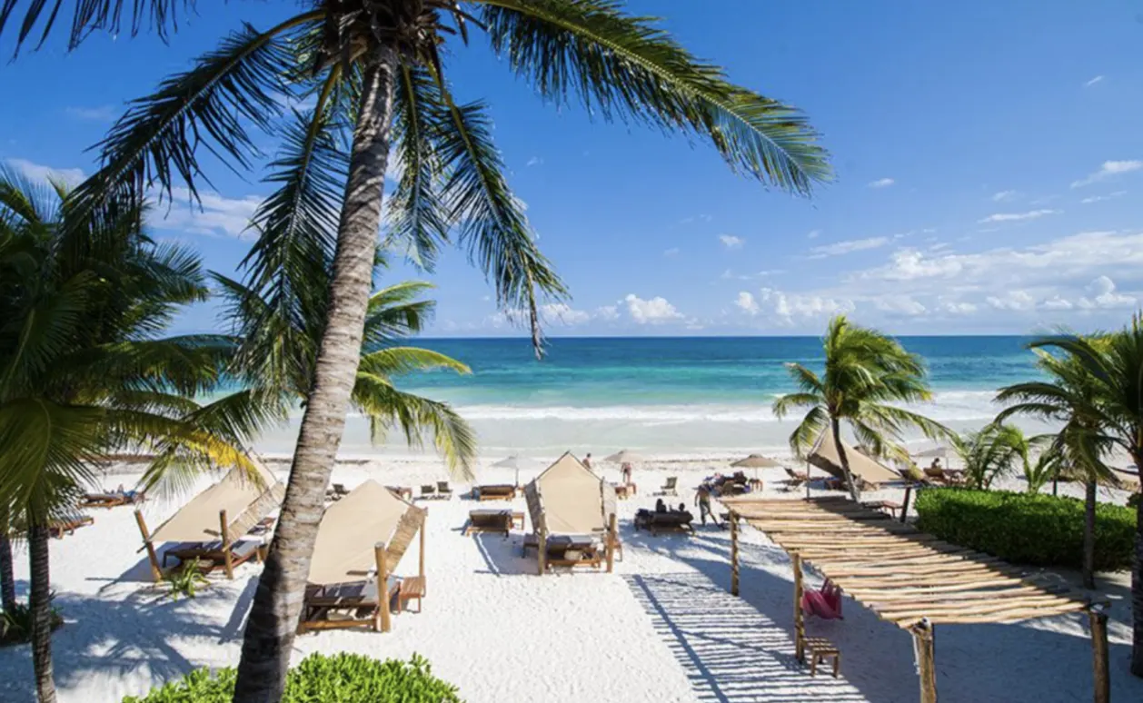 Eco therapy at Ahau Tulum